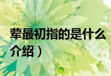 荤最初指的是什么（关于荤最初指的是什么的介绍）