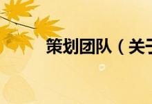 策划团队（关于策划团队的介绍）