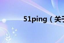51ping（关于51ping的介绍）