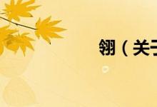 翎（关于翎的介绍）