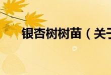 银杏树树苗（关于银杏树树苗的介绍）