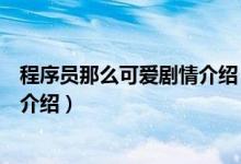 程序员那么可爱剧情介绍（关于程序员那么可爱剧情介绍的介绍）