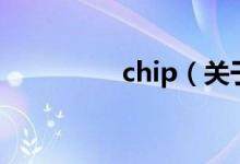 chip（关于chip的介绍）