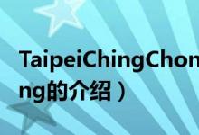 TaipeiChingChong（关于TaipeiChingChong的介绍）