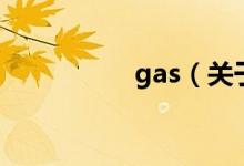 gas（关于gas的介绍）