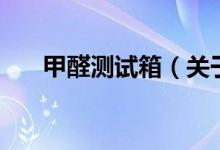 甲醛测试箱(关于甲醛测试箱的介绍)