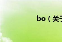 bo（关于bo的介绍）