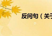 反问句（关于反问句的介绍）
