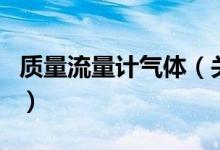 质量流量计气体（关于质量流量计气体的介绍）