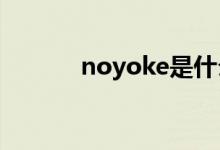 noyoke是什么牌子（noyok）