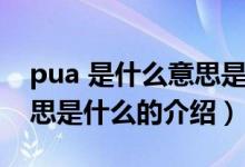 pua 是什么意思是什么（关于pua 是什么意思是什么的介绍）