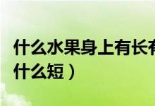 什么水果身上有长有短有大有小(水果什么长什么短)