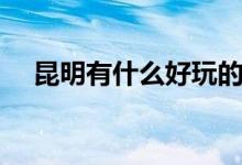 昆明有什么好玩的（昆明好玩的的地方）