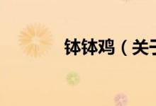 钵钵鸡（关于钵钵鸡的介绍）