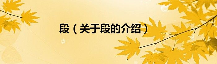 段（关于段的介绍）