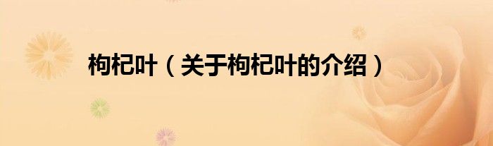 枸杞叶（关于枸杞叶的介绍）