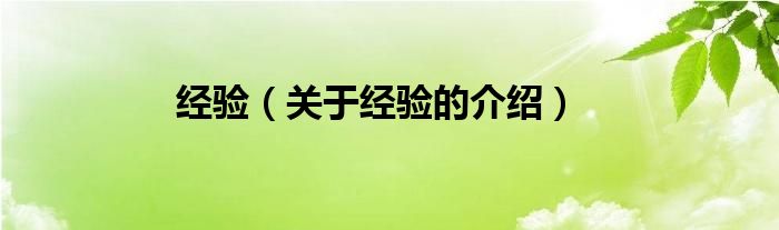 经验（关于经验的介绍）
