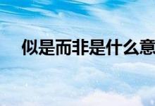 似是而非是什么意思（似是而非的意思）