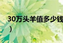 30万头羊值多少钱（养20头羊一年赚多少钱）