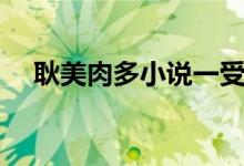 耿美肉多小说一受多攻(耿美肉多小说)