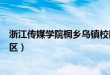 浙江传媒学院桐乡乌镇校区军训（浙江传媒学院桐乡乌镇校区）