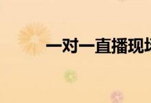 一对一直播现场(一对一直播室)