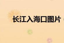 长江入海口图片(长江入海口在哪里)