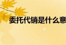 委托代销是什么意思（代销是什么意思）