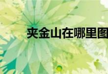 夹金山在哪里图片（夹金山在哪里）