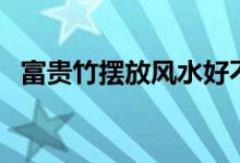 富贵竹摆放风水好不好(富贵竹摆放风水)