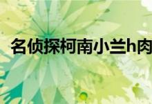 名侦探柯南小兰h肉图（名侦探柯南小兰h）