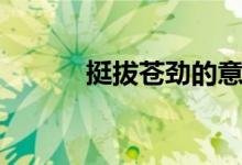 挺拔苍劲的意思（苍劲的意思）