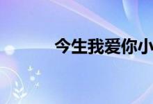今生我爱你小说（今生我爱你）