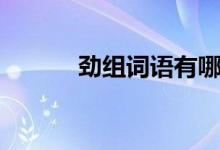 劲组词语有哪些词语(劲组词)