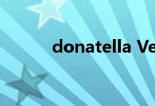 donatella Versace（donate）