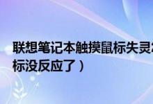 联想笔记本触摸鼠标失灵怎么办（联想笔记本电脑的触摸鼠标没反应了）