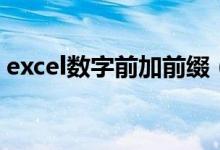 excel数字前加前缀（excel统一加数字前缀）