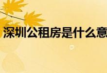 深圳公租房是什么意思（公租房是什么意思）