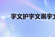 宇文护宇文邕宇文毓的关系（宇文护）