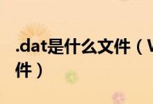 .dat是什么文件（WPSettings dat是什么文件）