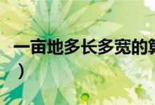 一亩地多长多宽的算式（一亩地是多少长与宽）