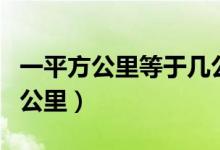 一平方公里等于几公顷（一公顷等于多少平方公里）