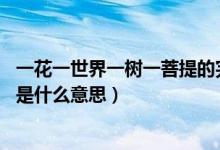 一花一世界一树一菩提的完整诗句（一花一世界 一树一菩提是什么意思）