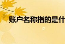 账户名称指的是什么（什么是账户名称）