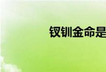 钗钏金命是什么意思（钗）