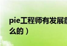 pie工程师有发展前景吗（pie工程师是做什么的）