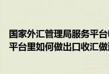国家外汇管理局服务平台电话（在国家外汇管理局应用服务平台里如何做出口收汇做延期收款报告 _）