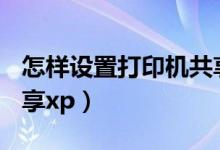 怎样设置打印机共享wifi（怎样设置打印机共享xp）