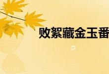 败絮藏金玉番外（败絮藏金玉）