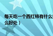 每天吃一个西红柿有什么好处坏处（每天吃一个西红柿有什么好处）